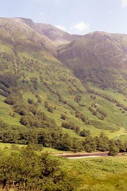 Scotland Picnic